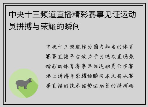 中央十三频道直播精彩赛事见证运动员拼搏与荣耀的瞬间